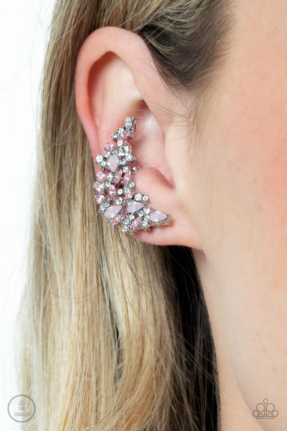 Prismatically Panoramic - Pink Post Earrings